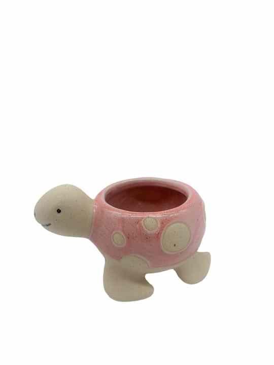 Portapiantina Tartaruga rosa 