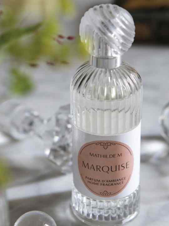 Profumo Ambiente Spray 
