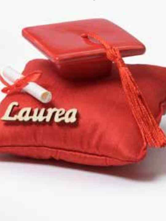 Sacchetto/cuscino con decorazione Laurea 